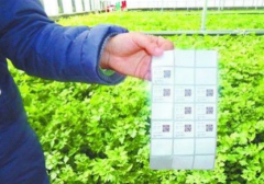 沒有防偽標簽的商品是假的嗎？什么是防偽標簽？